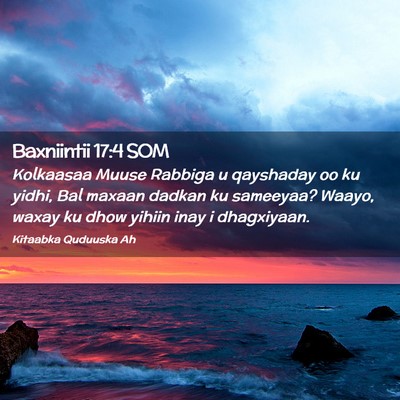 Picture 02 - Baxniintii 17:4 SOM - Kolkaasaa Muuse Rabbiga u qayshaday oo ku yidhi, - Bible Verse Picture