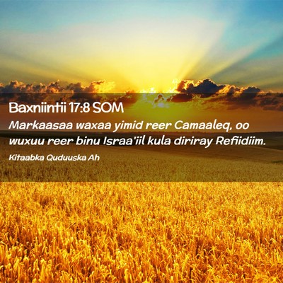 Picture 02 - Baxniintii 17:8 SOM - Markaasaa waxaa yimid reer Camaaleq, oo wuxuu - Bible Verse Picture