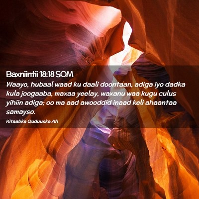 Picture 02 - Baxniintii 18:18 SOM - Waayo, hubaal waad ku daali doontaan, adiga iyo - Bible Verse Picture