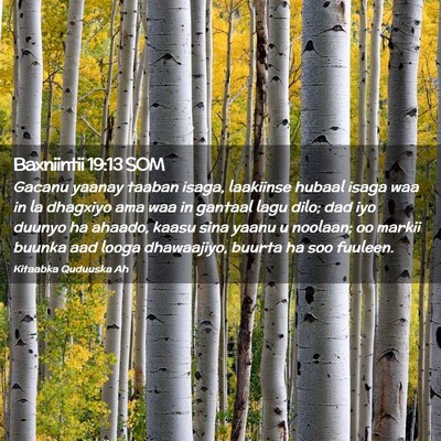 Picture 02 - Baxniintii 19:13 SOM - Gacanu yaanay taaban isaga, laakiinse hubaal - Bible Verse Picture