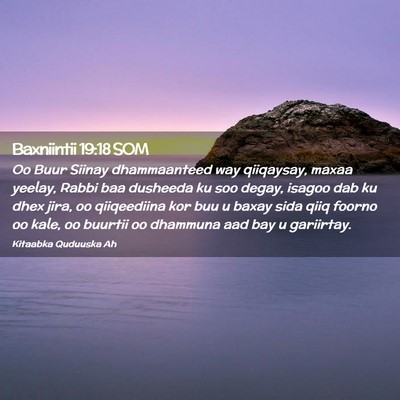 Picture 02 - Baxniintii 19:18 SOM - Oo Buur Siinay dhammaanteed way qiiqaysay, maxaa - Bible Verse Picture