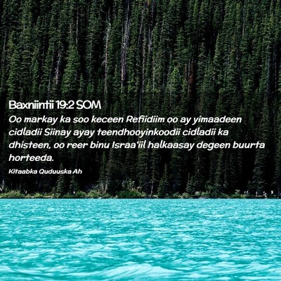 Picture 02 - Baxniintii 19:2 SOM - Oo markay ka soo keceen Refiidiim oo ay yimaadeen - Bible Verse Picture