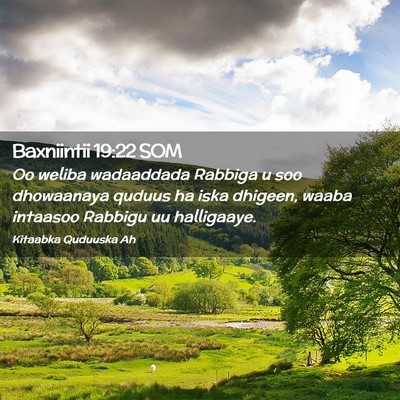 Picture 02 - Baxniintii 19:22 SOM - Oo weliba wadaaddada Rabbiga u soo dhowaanaya - Bible Verse Picture