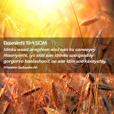 Picture 02 - Baxniintii 19:4 SOM - Idinku waad aragteen wixii aan ku sameeyey - Bible Verse Picture