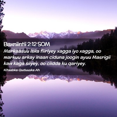 Picture 02 - Baxniintii 2:12 SOM - Markaasuu iska fiiriyey xagga iyo xagga, oo - Bible Verse Picture