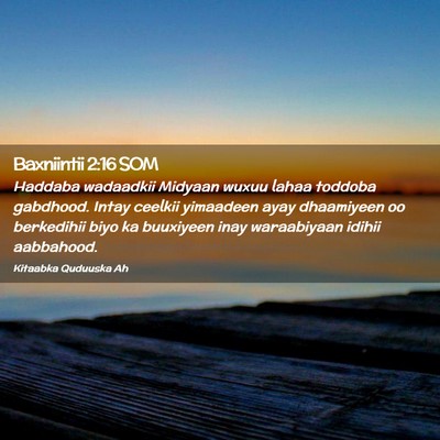 Picture 02 - Baxniintii 2:16 SOM - Haddaba wadaadkii Midyaan wuxuu lahaa toddoba - Bible Verse Picture