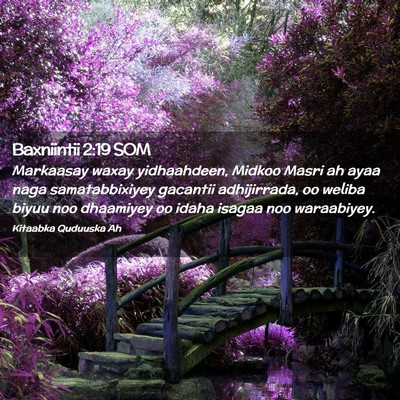 Picture 02 - Baxniintii 2:19 SOM - Markaasay waxay yidhaahdeen, Midkoo Masri ah ayaa - Bible Verse Picture
