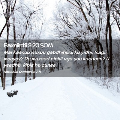 Picture 02 - Baxniintii 2:20 SOM - Markaasuu wuxuu gabdhihiisii ku yidhi, Isagii - Bible Verse Picture