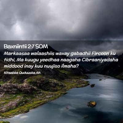 Picture 02 - Baxniintii 2:7 SOM - Markaasaa walaashiis waxay gabadhii Fircoon ku - Bible Verse Picture