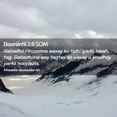 Picture 02 - Baxniintii 2:8 SOM - Gabadhii Fircoonna waxay ku tidhi iyadii, Haah, - Bible Verse Picture