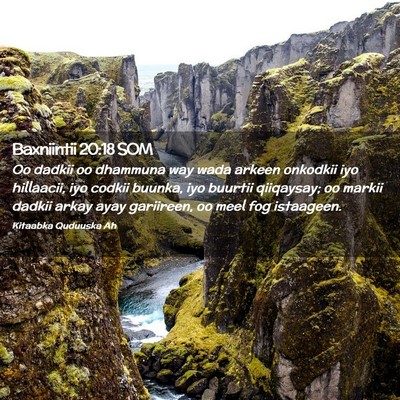 Picture 02 - Baxniintii 20:18 SOM - Oo dadkii oo dhammuna way wada arkeen onkodkii - Bible Verse Picture