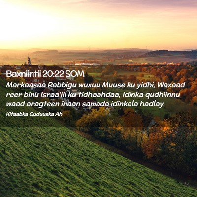 Picture 02 - Baxniintii 20:22 SOM - Markaasaa Rabbigu wuxuu Muuse ku yidhi, Waxaad - Bible Verse Picture