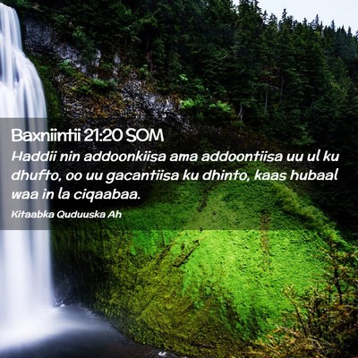 Picture 02 - Baxniintii 21:20 SOM - Haddii nin addoonkiisa ama addoontiisa uu ul ku - Bible Verse Picture