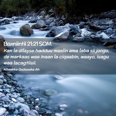 Picture 02 - Baxniintii 21:21 SOM - Kan la dilayse hadduu maalin ama laba sii joogo, - Bible Verse Picture