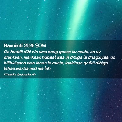 Picture 02 - Baxniintii 21:28 SOM - Oo haddii dibi nin ama naag geeso ku mudo, oo ay - Bible Verse Picture