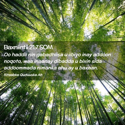 Picture 02 - Baxniintii 21:7 SOM - Oo haddii nin gabadhiisa u iibiyo inay addoon - Bible Verse Picture