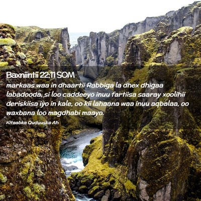 Picture 02 - Baxniintii 22:11 SOM - markaas waa in dhaartii Rabbiga la dhex dhigaa - Bible Verse Picture