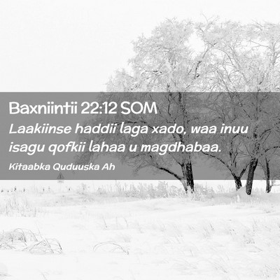 Picture 02 - Baxniintii 22:12 SOM - Laakiinse haddii laga xado, waa inuu isagu qofkii - Bible Verse Picture