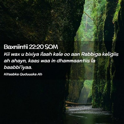 Picture 02 - Baxniintii 22:20 SOM - Kii wax u bixiya ilaah kale oo aan Rabbiga - Bible Verse Picture