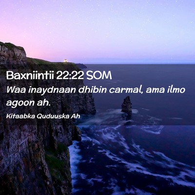 Picture 02 - Baxniintii 22:22 SOM - Waa inaydnaan dhibin carmal, ama ilmo agoon - Bible Verse Picture