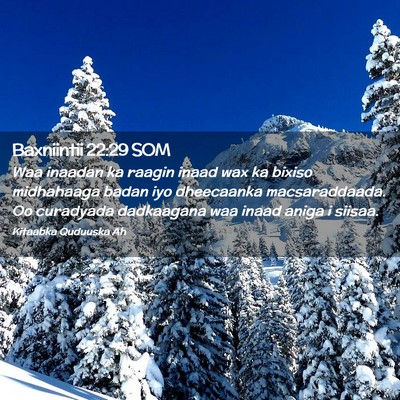 Picture 02 - Baxniintii 22:29 SOM - Waa inaadan ka raagin inaad wax ka bixiso - Bible Verse Picture