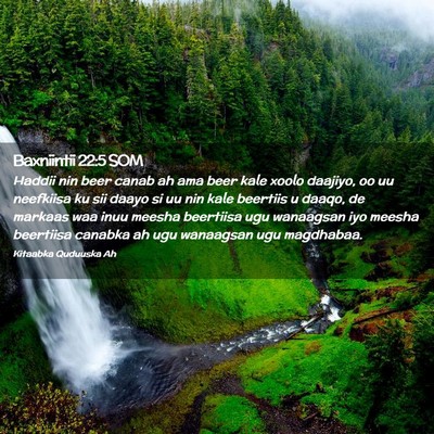 Picture 02 - Baxniintii 22:5 SOM - Haddii nin beer canab ah ama beer kale xoolo - Bible Verse Picture