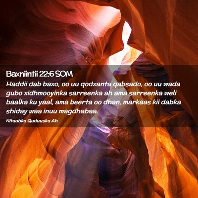 Picture 02 - Baxniintii 22:6 SOM - Haddii dab baxo, oo uu qodxanta qabsado, oo uu - Bible Verse Picture