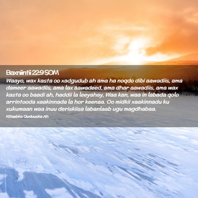 Picture 02 - Baxniintii 22:9 SOM - Waayo, wax kasta oo xadgudub ah ama ha noqdo dibi - Bible Verse Picture