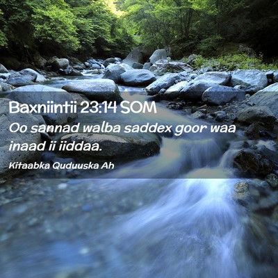 Picture 02 - Baxniintii 23:14 SOM - Oo sannad walba saddex goor waa inaad ii - Bible Verse Picture