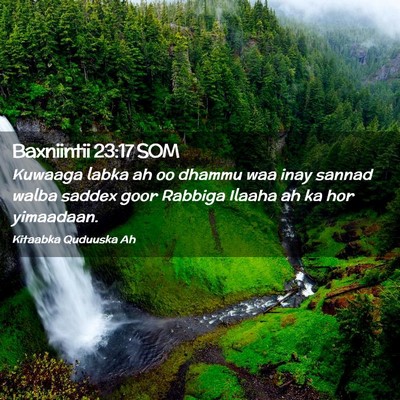 Picture 02 - Baxniintii 23:17 SOM - Kuwaaga labka ah oo dhammu waa inay sannad walba - Bible Verse Picture