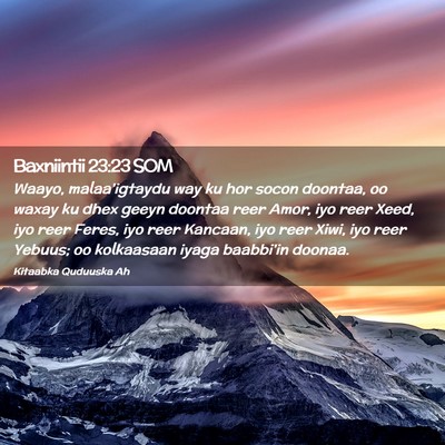 Picture 02 - Baxniintii 23:23 SOM - Waayo, malaa'igtaydu way ku hor socon doontaa, oo - Bible Verse Picture