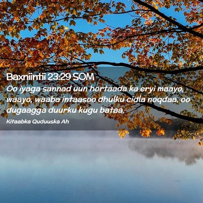 Picture 02 - Baxniintii 23:29 SOM - Oo iyaga sannad uun hortaada ka eryi maayo, - Bible Verse Picture