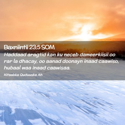 Picture 02 - Baxniintii 23:5 SOM - Haddaad aragtid kan ku neceb dameerkiisii oo rar - Bible Verse Picture