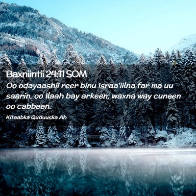 Picture 02 - Baxniintii 24:11 SOM - Oo odayaashii reer binu Israa'iilna far ma uu - Bible Verse Picture