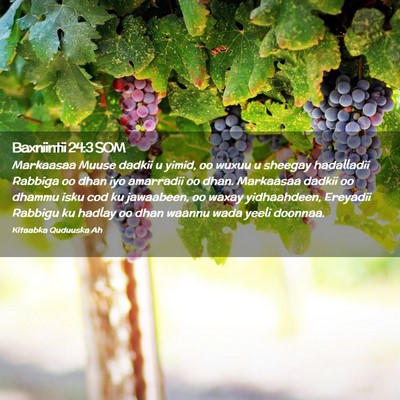 Picture 02 - Baxniintii 24:3 SOM - Markaasaa Muuse dadkii u yimid, oo wuxuu u - Bible Verse Picture