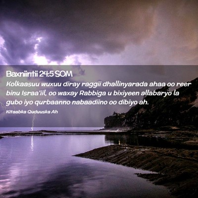 Picture 02 - Baxniintii 24:5 SOM - Kolkaasuu wuxuu diray raggii dhallinyarada ahaa - Bible Verse Picture