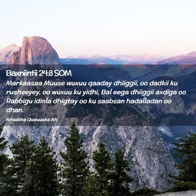 Picture 02 - Baxniintii 24:8 SOM - Markaasaa Muuse wuxuu qaaday dhiiggii, oo dadkii - Bible Verse Picture