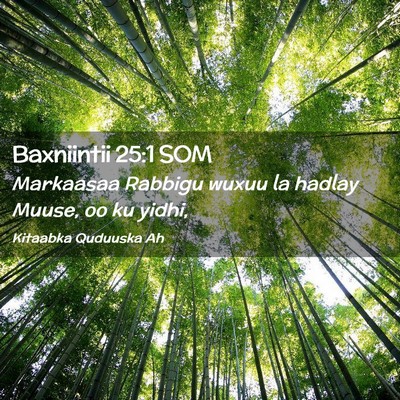 Picture 02 - Baxniintii 25:1 SOM - Markaasaa Rabbigu wuxuu la hadlay Muuse, oo ku - Bible Verse Picture