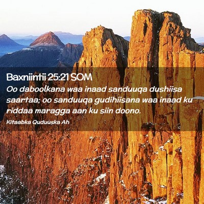 Picture 02 - Baxniintii 25:21 SOM - Oo daboolkana waa inaad sanduuqa dushiisa - Bible Verse Picture