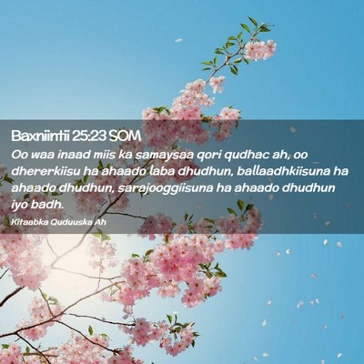 Picture 02 - Baxniintii 25:23 SOM - Oo waa inaad miis ka samaysaa qori qudhac ah, oo - Bible Verse Picture