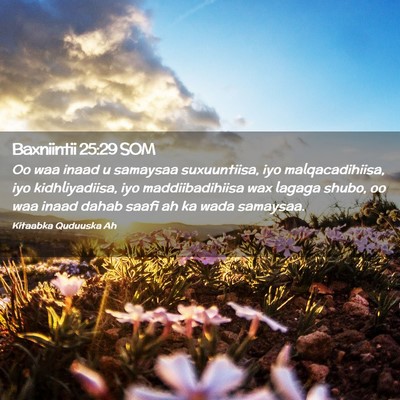 Picture 02 - Baxniintii 25:29 SOM - Oo waa inaad u samaysaa suxuuntiisa, iyo - Bible Verse Picture