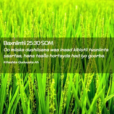 Picture 02 - Baxniintii 25:30 SOM - Oo miiska dushiisana waa inaad kibistii tusniinta - Bible Verse Picture