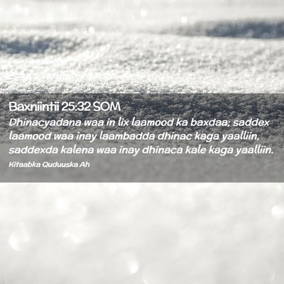 Picture 02 - Baxniintii 25:32 SOM - Dhinacyadana waa in lix laamood ka baxdaa; saddex - Bible Verse Picture