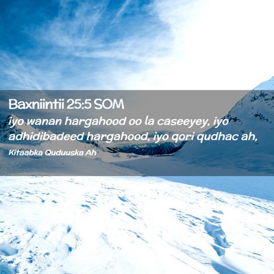 Picture 02 - Baxniintii 25:5 SOM - iyo wanan hargahood oo la caseeyey, iyo - Bible Verse Picture