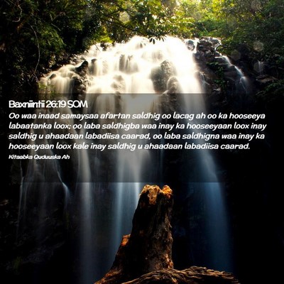 Picture 02 - Baxniintii 26:19 SOM - Oo waa inaad samaysaa afartan saldhig oo lacag ah - Bible Verse Picture
