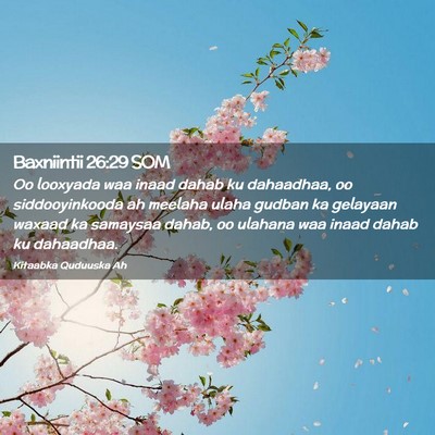 Picture 02 - Baxniintii 26:29 SOM - Oo looxyada waa inaad dahab ku dahaadhaa, oo - Bible Verse Picture