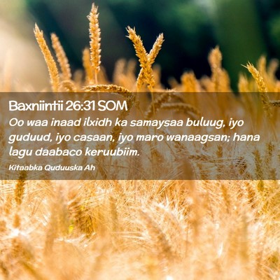 Picture 02 - Baxniintii 26:31 SOM - Oo waa inaad ilxidh ka samaysaa buluug, iyo - Bible Verse Picture