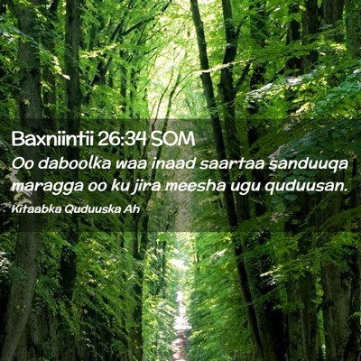 Picture 02 - Baxniintii 26:34 SOM - Oo daboolka waa inaad saartaa sanduuqa maragga oo - Bible Verse Picture