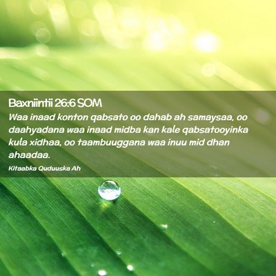 Picture 02 - Baxniintii 26:6 SOM - Waa inaad konton qabsato oo dahab ah samaysaa, oo - Bible Verse Picture