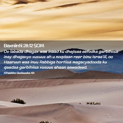 Picture 02 - Baxniintii 28:12 SOM - Oo labada dhagax waa inaad ku dhejisaa eefodka - Bible Verse Picture